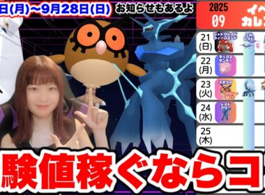 【週間情報】ジュラルドン・ホーホー狙い目‼️最後にお知らせも