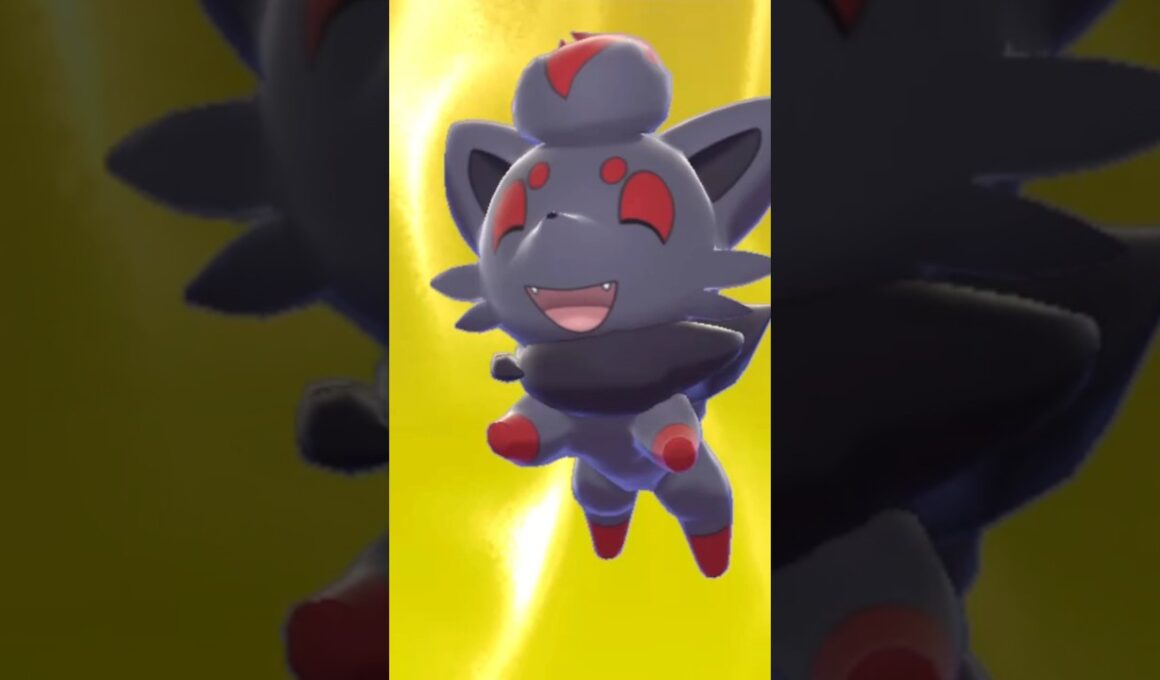 ポケモンキャンプ　ゾロア#shorts #short #shortsfeed #shortsvideo #shortvideo #youtubeショート #youtubeshorts #ゾロア