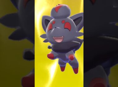 ポケモンキャンプ　ゾロア#shorts #short #shortsfeed #shortsvideo #shortvideo #youtubeショート #youtubeshorts #ゾロア