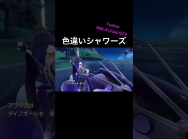 【ポケモンSV】色違いシャワーズを求めて #ポケモンsv #ポケットモンスター #色違い #色違い厳選 #シャワーズ #shorts