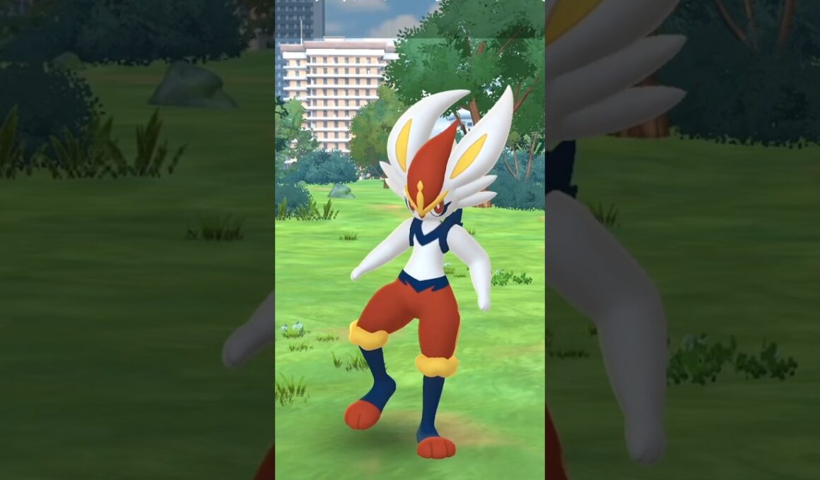 エースバーンの特訓。#ポケモンGO#ガラル地方 #pokemon