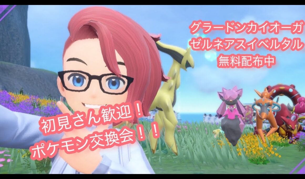 通常グラードンカイオーガゼルネアスイベルタル無料配布！ポケモンsv交換会＆バトル会＆ブルレク＆ダイアド会