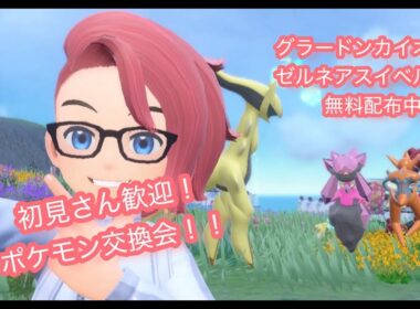 通常グラードンカイオーガゼルネアスイベルタル無料配布！ポケモンsv交換会＆バトル会＆ブルレク＆ダイアド会