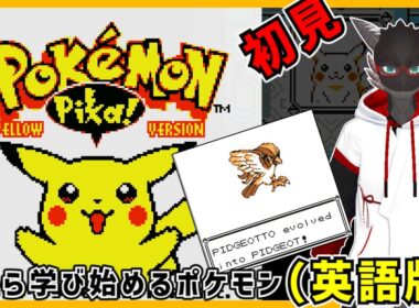 【ポケモンピカチュウ英語版】ピジョットォはピジョットに進化した　【pokemon】【Vtuber】