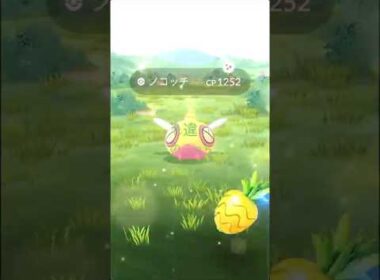 ポケモンGO 色違いノコッチ‼️