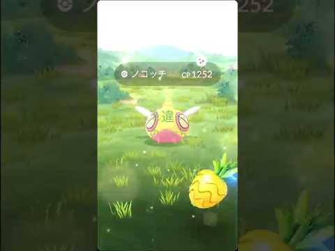 ポケモンGO 色違いノコッチ‼️