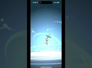 【ポケモンGO】フラベベ〔青色〕色違いの進化#ポケモンgo #フラベベ #色違い #コミュニティディ #青色 #shorts