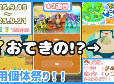 【ポケモンスリープ】ライコウ・エンテイ・スイクンリサーチ2週目！＆採用個体祭り！！【#PokémonSleep】