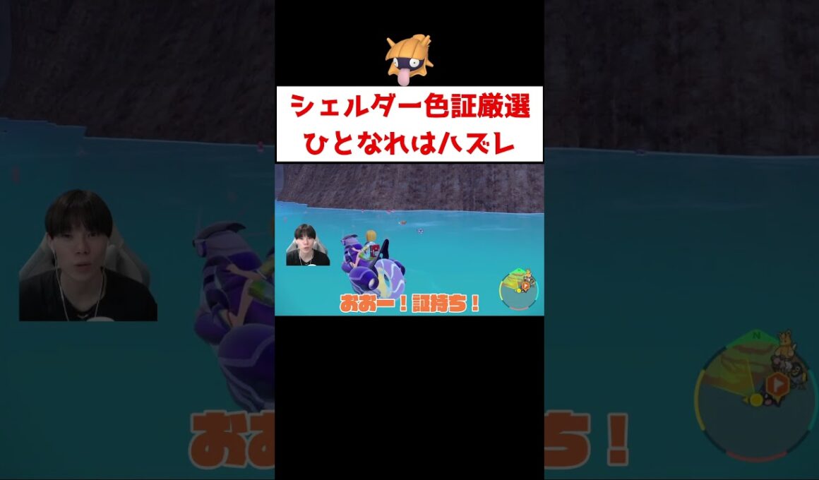 シェルダー色証厳選 #ゲーム実況 #shorts #ポケモン #ポケモンSV #シェルダー #色違い #厳選 #パルシェン