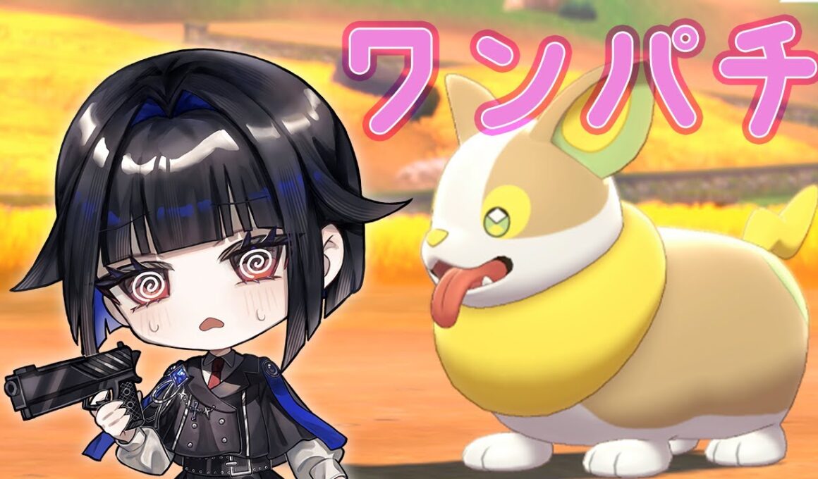 ワンパチ #ポケモン剣盾  #色違い厳選