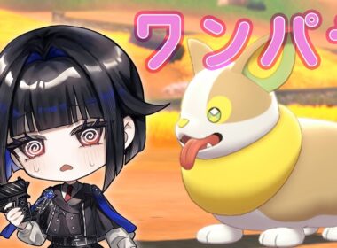 ワンパチ #ポケモン剣盾  #色違い厳選