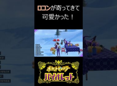 ロコンなんでそんなにかわいいの？　#shorts 　＃ポケモン　＃ロコン