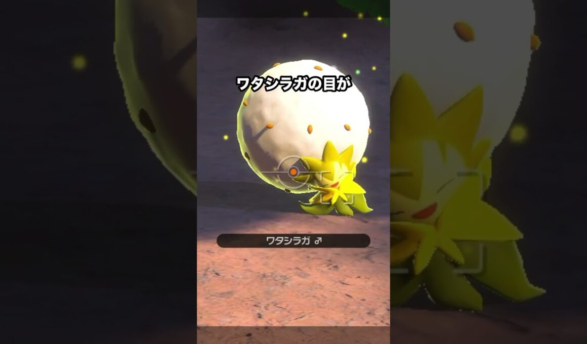 思わずニッコリしてしまうワタシラガ#ポケモン #newポケモンスナップ