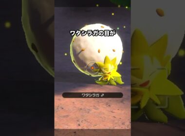 思わずニッコリしてしまうワタシラガ#ポケモン #newポケモンスナップ