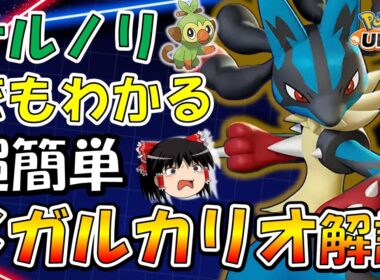 これでみんなも大暴れ！超簡単『メガルカリオ』解説【ポケモンユナイト】