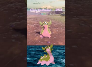 Shiny Gastrodon (West Sea) ✨ 0423 Evolved from Shellos caught in Pokemon Legends Arceus with MMO
