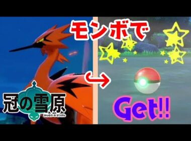 【ポケモン剣盾】超爆速⁉ガラルサンダーをモンスターボールで捕獲をします！　【冠の雪原】