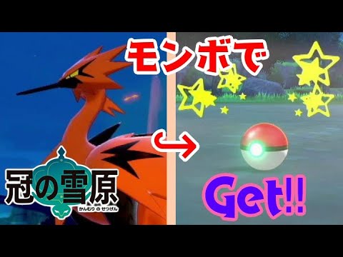 【ポケモン剣盾】超爆速⁉ガラルサンダーをモンスターボールで捕獲をします！　【冠の雪原】