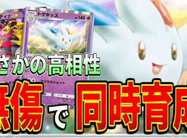 【ポケポケ】"無敵の壁"トゲキッスを最速で完成させるデッキが害悪すぎたww【デッキ紹介】
