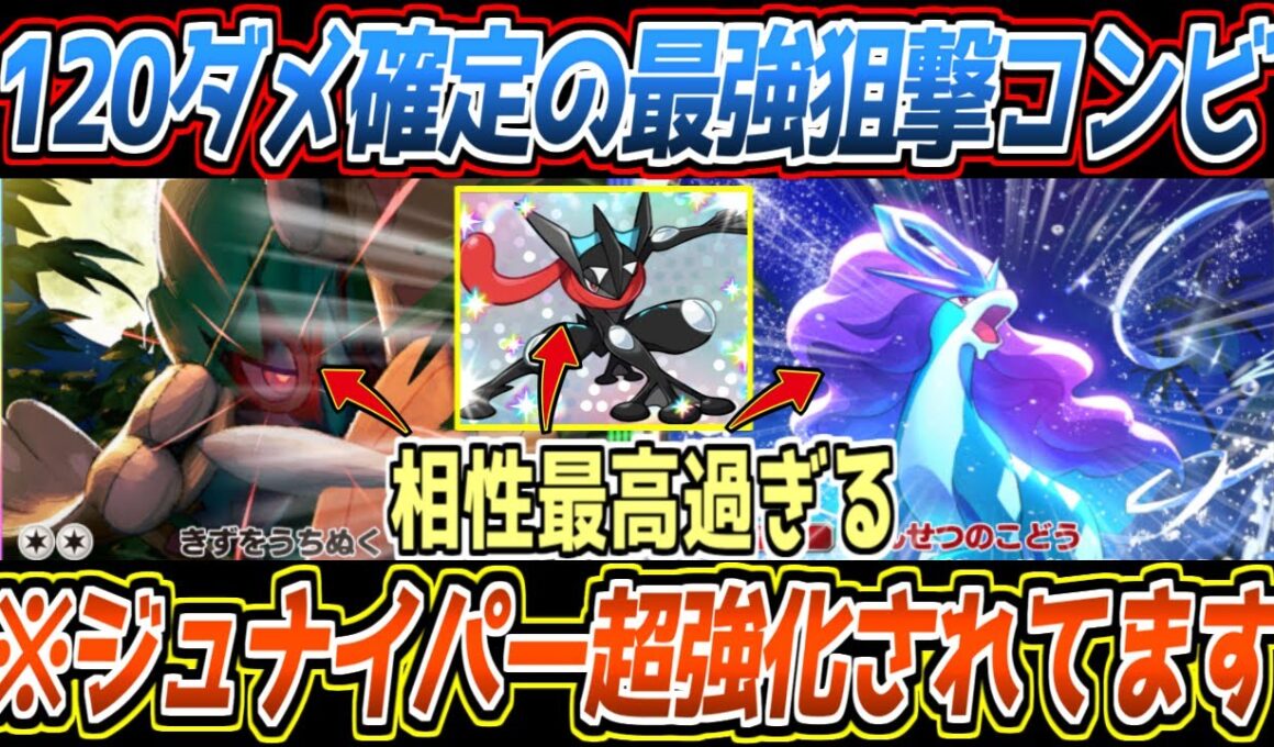 【ポケポケ】超強化されたジュナイパーex。スイクンexでついに完成したゲッコウガとのダブル狙撃コンビが最強でした【デッキ紹介/Pokémon Trading Card Game Pocket】