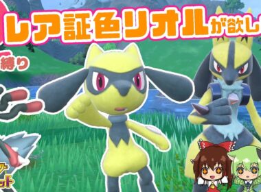 【悲惨】♀色レア証メガルカリオのために、このドロ沼リオル厳選があったんだと思いました･･･マジでツラかった･･･( ；∀；)【ポケモン色厳選】【ゆっくり実況】