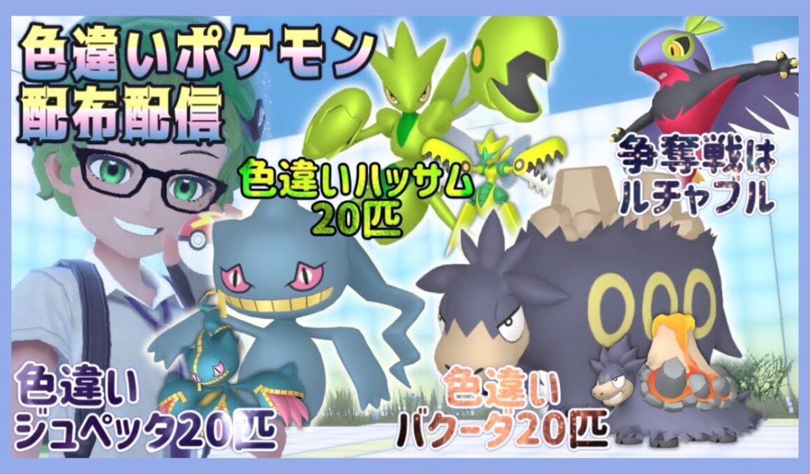 【ポケモンSV】自己産！色違いポケモン配布祭✨ハッサム２０・ジュペッタ２０・バクーダ２０計６０匹配布！争奪戦は色違いルチャブル！【色違いポケモン配布】