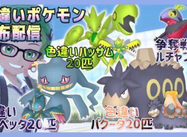 【ポケモンSV】自己産！色違いポケモン配布祭✨ハッサム２０・ジュペッタ２０・バクーダ２０計６０匹配布！争奪戦は色違いルチャブル！【色違いポケモン配布】