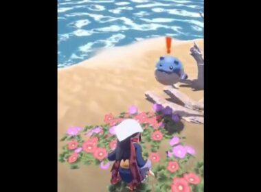 【ポケモン】荒ぶるタマザラシ🏀【アルセウス】