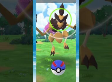 【ポケモンGO】バサギリさん近くない？