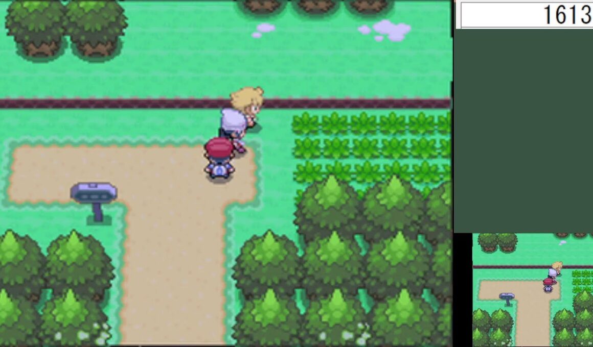 朝の色違いヒコザル