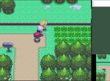 朝の色違いヒコザル