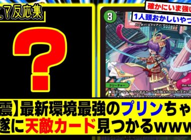 【デュエマ】『バカ強過ぎるプリンちゃん、最大の天敵現るｗｗｗ』に対するDMPの反応集