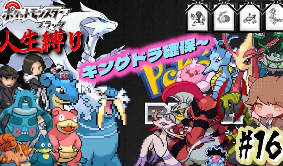 【ポケモンBW 人生縛り】ほうじょうのやしろ「ポケットモンスター ブラック/ホワイト」#16《初見歓迎》