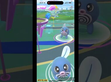 ニョロモ色違い✨ #pokemon #ポケモンgo #ポケgo #ポケモン