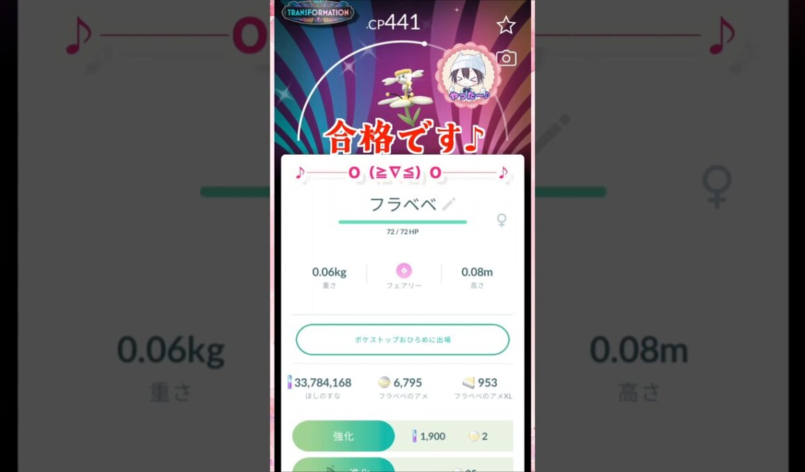 色フラベベ！全種GETだぁ♪【ポケモンGO】