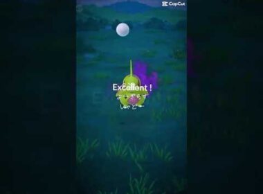 色違いヨーギラスシャドー