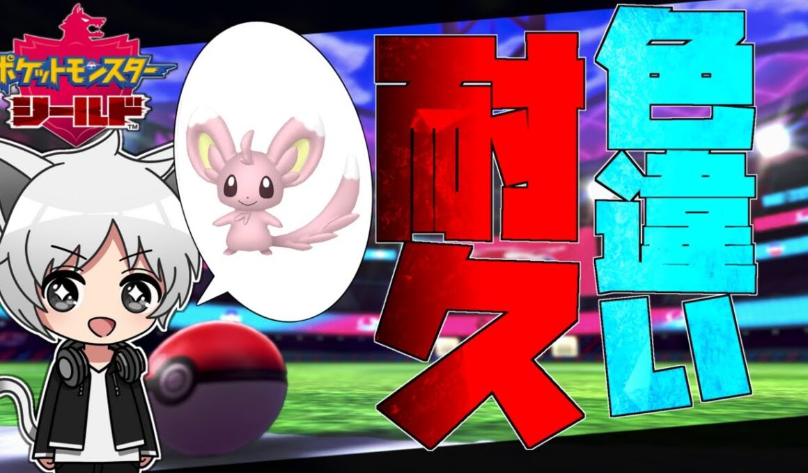 【ポケモン剣盾】ガラル図鑑色違いコンプの旅！【チラーミィ】