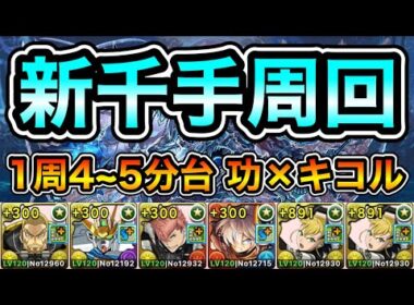【パズドラ】キコル2枚+891にしてる人向け！ピィなどの素材を集めよう！全敵対応！再臨の超星！浄罪の千龍！1周4~5分台！ほぼずらし！功×キコル編成で安定周回！【新千手】【概要欄に詳細など記載】
