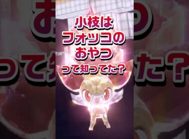 【ポケモン豆知識🔍★毎日UP★】小枝はフォッコのおやつって知ってた？#ポケモン #pokémon