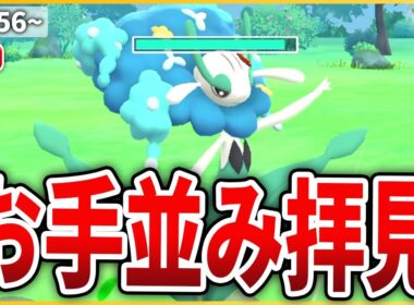 【スーパーリーグ】コミュデイで強化された「フラージェス」はスーパーリーグでもやれるのか検証してみる！