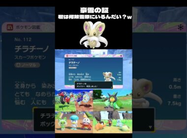 【ポケモンSV】色を見逃した後に現れた豪雪色チラチーノ♀【＃ポケモンSV配信】＃Shorts