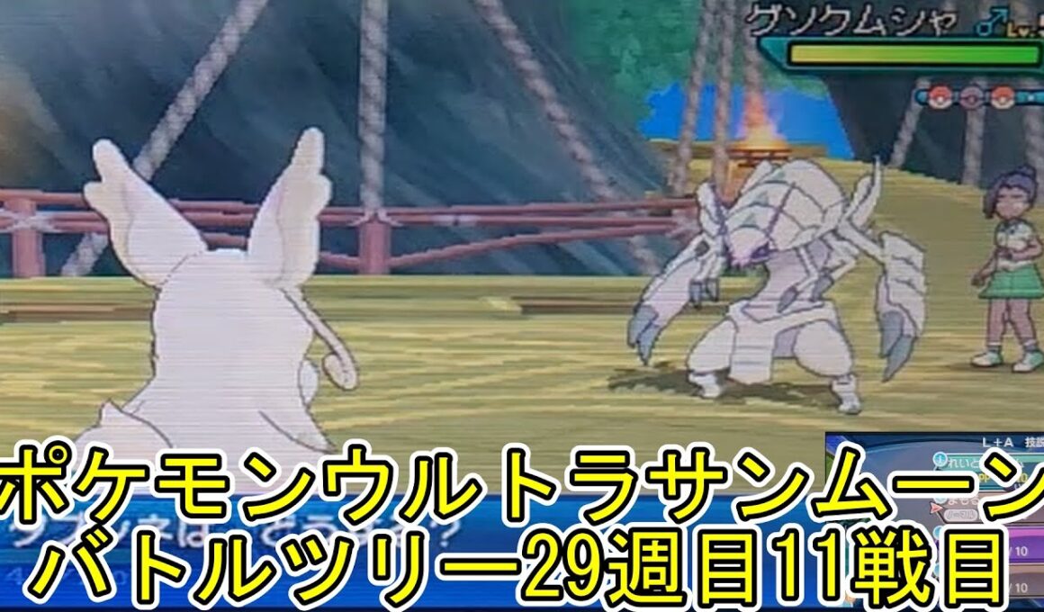 ポケモンウルトラサンムーンバトルツリー29週目11戦目