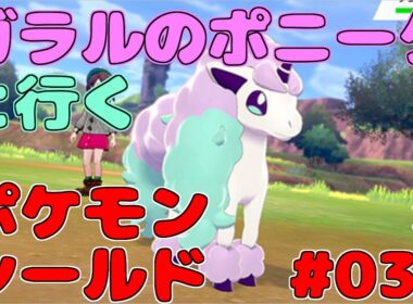 【ポケモン剣盾】ガラルのポニータと行く、ポケットモンスターソード・シールド03