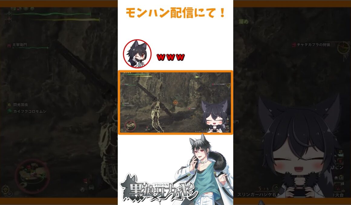 瞬間移動するカエル！