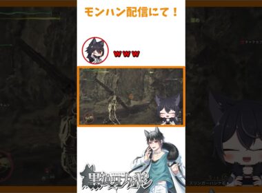 瞬間移動するカエル！