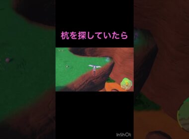 ハネッコじゃないよね #shorts #ポケモンsv #nintendoswitch2 #色違い