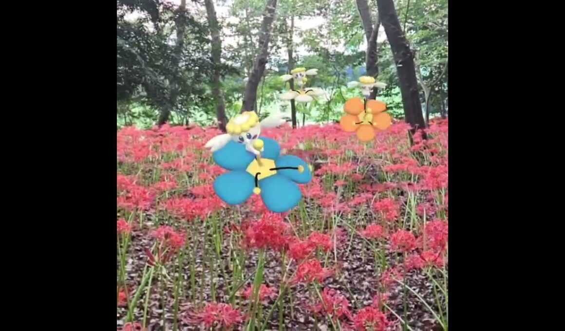 플라베베 ( Flabebe ) フラベベ ( 花蓓蓓 )