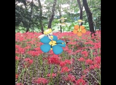 플라베베 ( Flabebe ) フラベベ ( 花蓓蓓 )