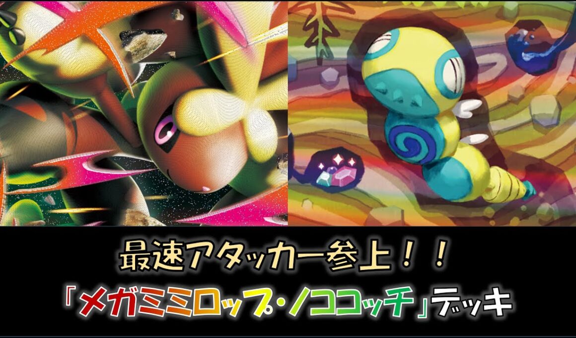 【ジムバ優勝】『メガミミロップ・ノココッチ』デッキをご紹介！