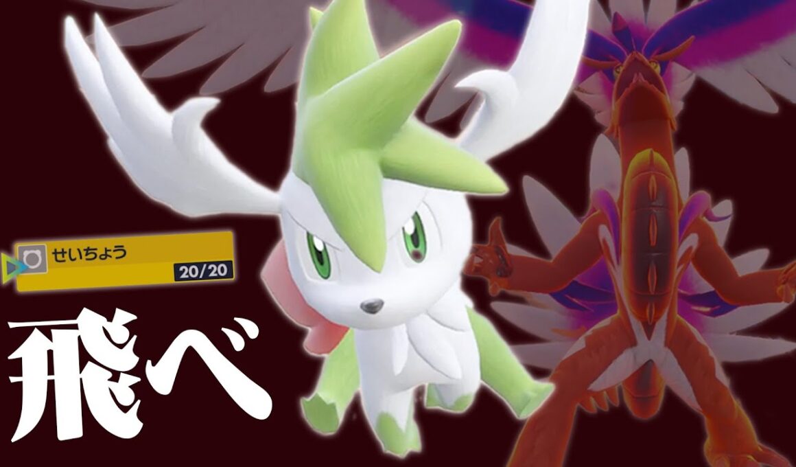 【せいちょう型】シェイミよ、コライドンと共に飛べ！！【ポケモンSV】